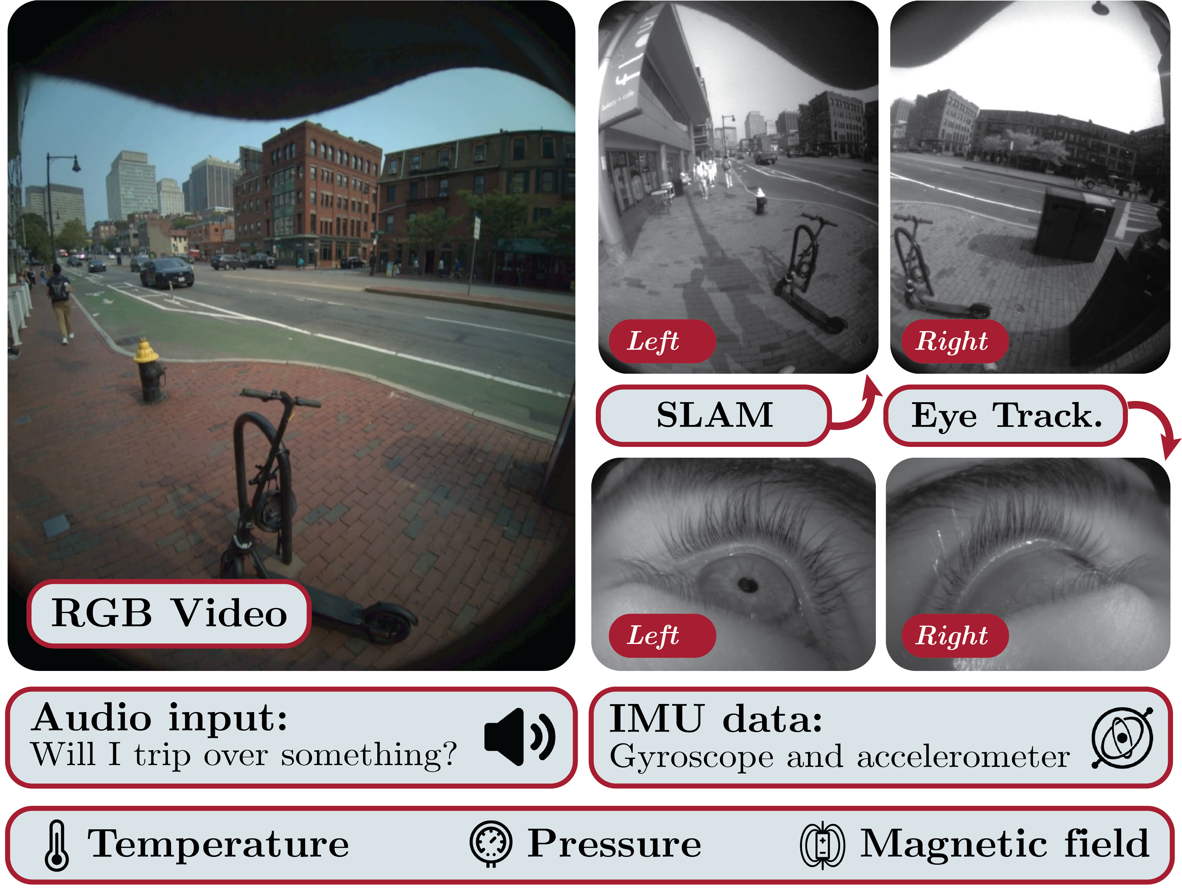 Aria RGB, stereo SLAM and eye cameras, audio, IMU and environmental sensors
